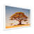 White Picture Framed