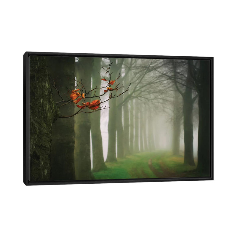 «Old and New», reproduction de photo sur toile, H 18 po x l 26 po x P 1,5 po, Toile encadrée noire