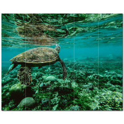 Murale en céramique satinée 12 po x 12 po Turtle Photo