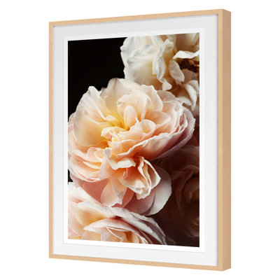 Floribunda I Print by Bock, Alicia