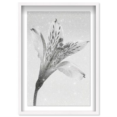 Delicate Spots Framed Graphic Art