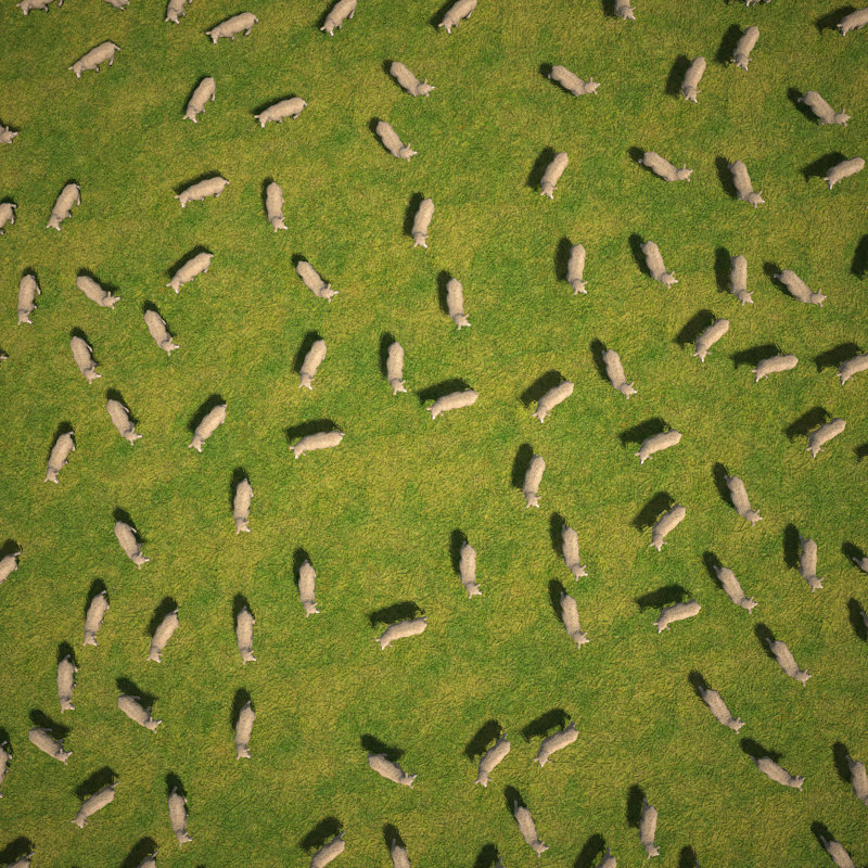 Flock Of Sheep - Wrapped Canvas Print, 30cm H x 30cm W x 3.8cm D