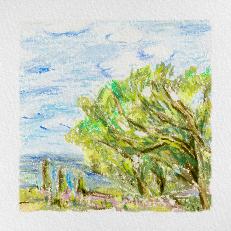 Summer Field II by Melissa Wang - Wrapped Canvas Print, 30cm H x 30cm W x 3.8cm D