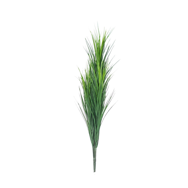 Tiges d'herbe de blé