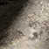 Monet Modern Abstract Area Rug