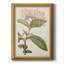 Toile encadrée de qualité supérieure Antique Botanical Collection VI - prête à être accrochée-1344185855
