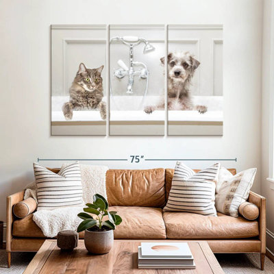 Bain de luxe pour animaux