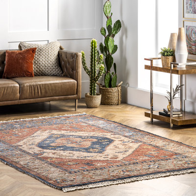 Shamus Traditional Distressed Medallion Flatweave Rust/Blue/Brown Rug