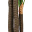 Arbre artificiel artificiel 78,74 po Dracaena-1884110529
