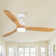 52 In.Intergrated LED Ceiling Fan Lighting with Remote Control