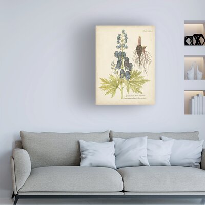 Eloquent Botanical II by Vision Studio - Wrapped Canvas Painting -  Rosalind Wheeler, 69FCD412A44146308C36A50C8F6A91F4