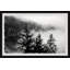 Cold Frosty Morning - Single Picture Frame Print-652997018