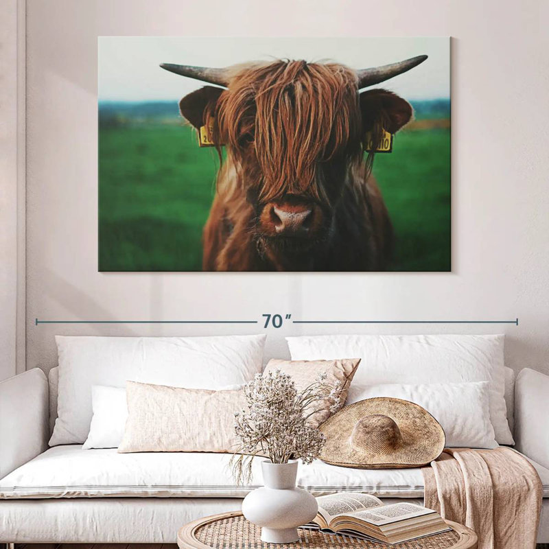 Brampt Highland Cow Close Up, 34" H x 51" W