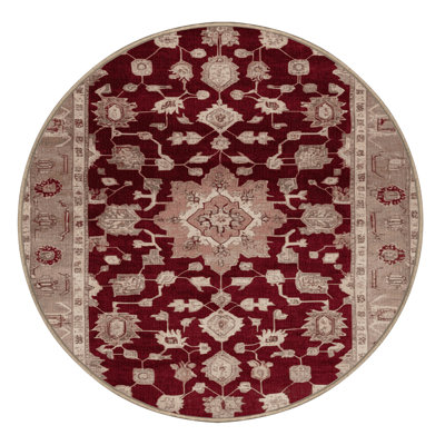 Machine Washable Overdyed Brown Area Rug