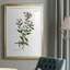 «Rose Botanical III», reproduction encadrée de qualité supérieure - prête à être accrochée-40744600-40744583