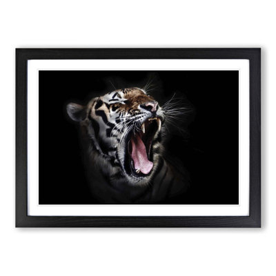 Tiger Framed Photographic - Framed Print