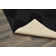 Thayer Indoor Rug