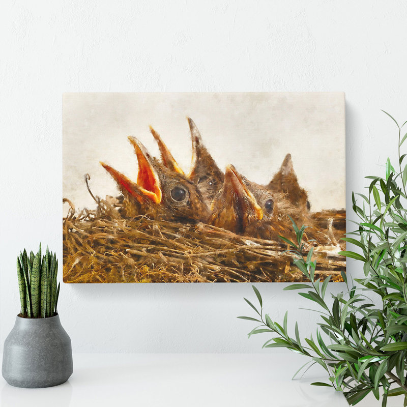 Baby Birds In The Nest - Wrapped Canvas, 40cm H x 60cm W x 3cm D