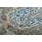 Oriental Indoor Rug-840474991