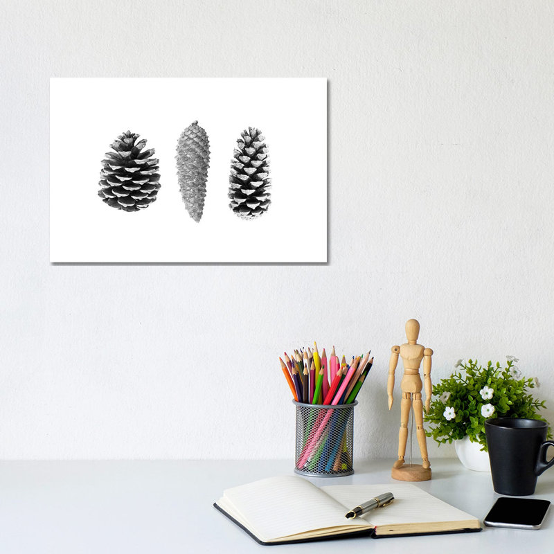 Pine Cones by Sisi & Seb - Gallery-Wrapped Canvas Giclée on Canvas, 20.32 cm H x 30.48 cm W, Canvas
