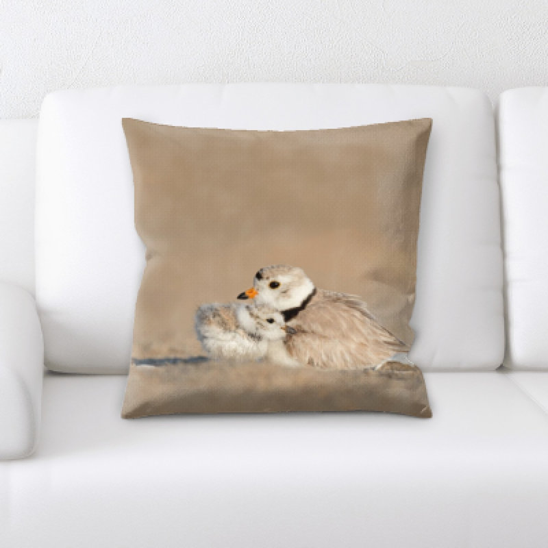 Coussin oiseau