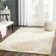 Oakton Hand Tufted Wool Oriental Rug