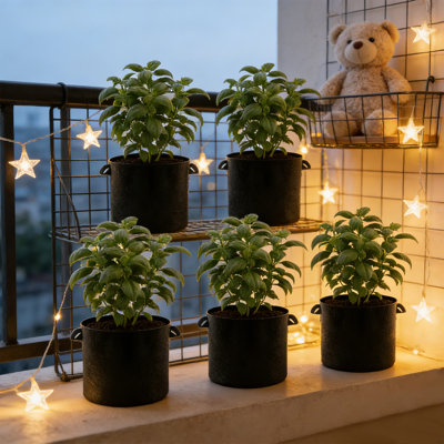 Lot de 5 sacs de culture avec poignées, pots de jardin réutilisables pour plantes