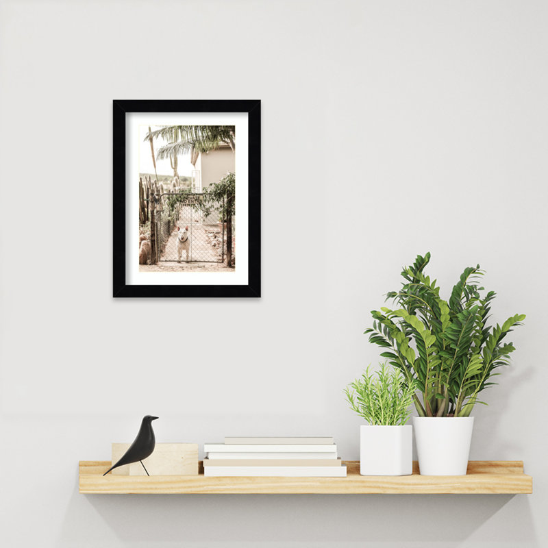 Reproduction d'art encadrée Daisey, Cadre noir, H 13 po x l 10 po