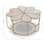 Cecillia Frame Coffee Table