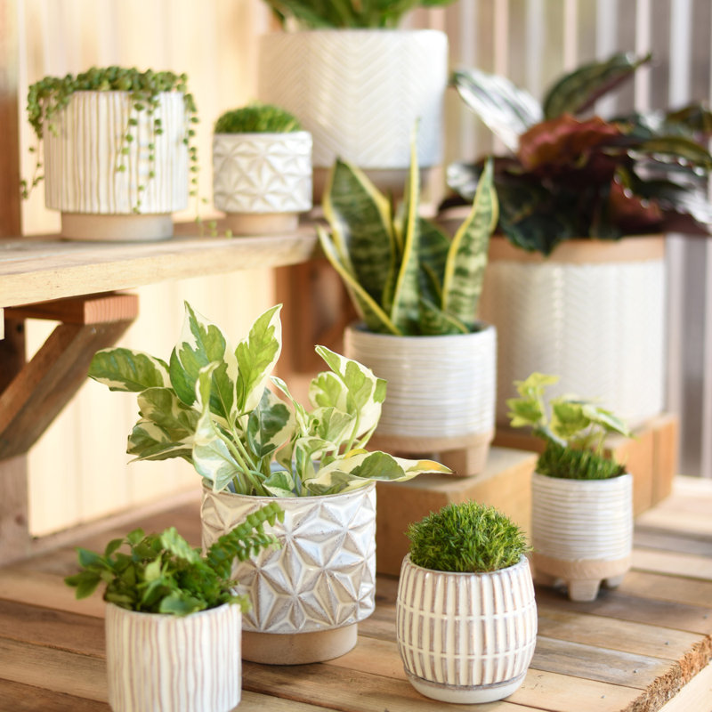 Winkler Small Horizontal Stripe Cachepot