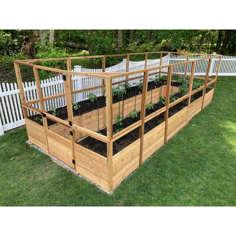 8 ft. x 16 ft. Cedar Garden Bed with Deer Fence