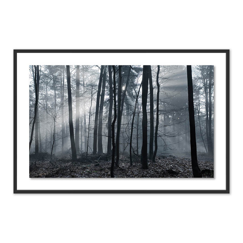 Eerie Trees I Print by Jakob Wagner, Black, 32" H x 48" W x 2.5" D
