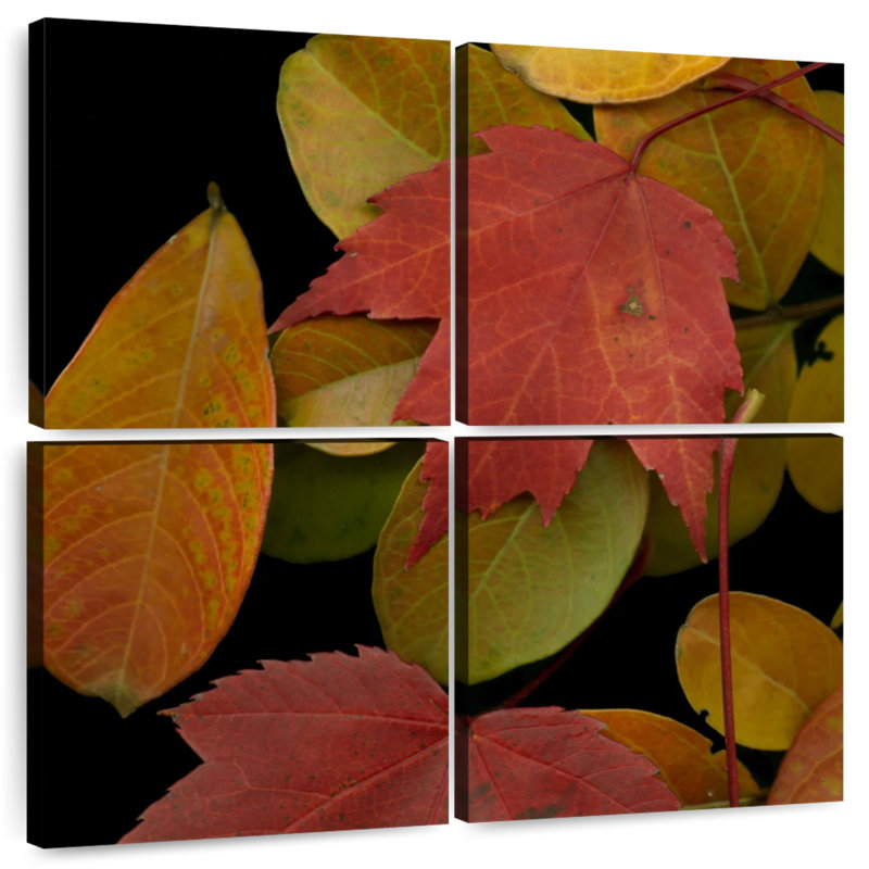 Harnek Vivid Leaves I, 26" H x 26" W