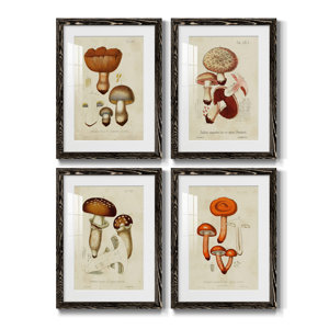 Gracie Oaks Mushroom Varieties I Framed On Paper 4 Pieces Painting ...