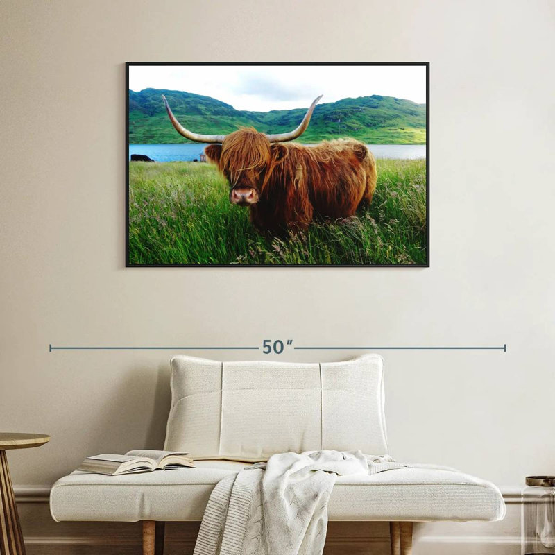 Brampt Fluffy Highland Cow, 27" H x 40" W