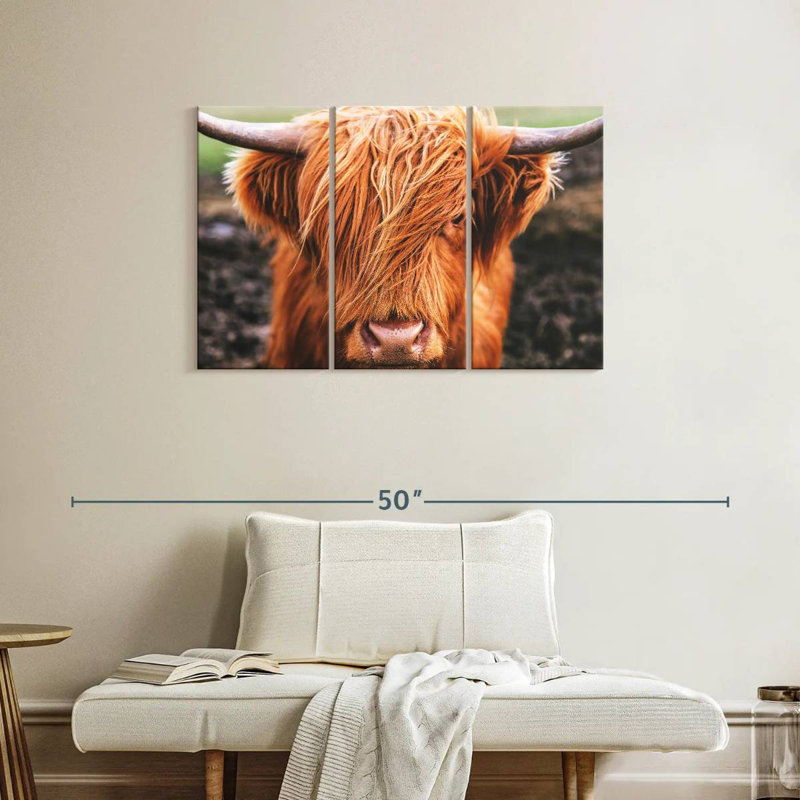 Frange Highland, H 24 po x l 38 po