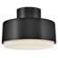 Hinkley Cedric Semi-Flush Mount-552078919