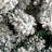 Easy Set-Up Pine Christmas Tree-1508523424