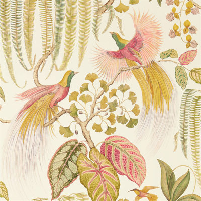 Bird of Paradise Wallpaper