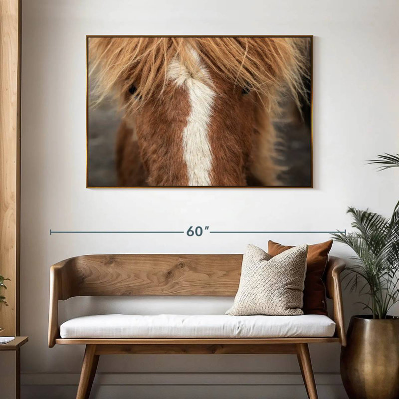 Gros plan d'un cheval Islandais, 46 po x 31 po, Cadre flottant doré