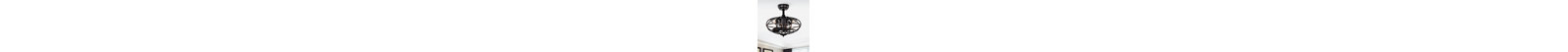 Ali Caged Ceiling Fan with Lights, Remote & 3 Speeds (Bulb Not Included)