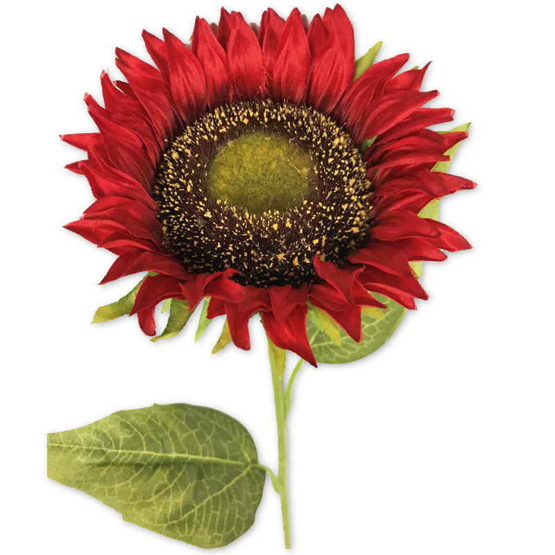 Tige de tournesol, Rouge / Vert / Brun