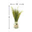 Grass Arrangement In Shell Vase