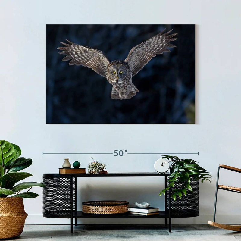 Hibou gris volant, H 32 po x l 48 po