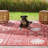 Reyn Spooner Tradewinds Pua Red Hawaiian Tropical Polypropylene Flatweave Indoor/ Outdoor All Weather Area Rug-117046163