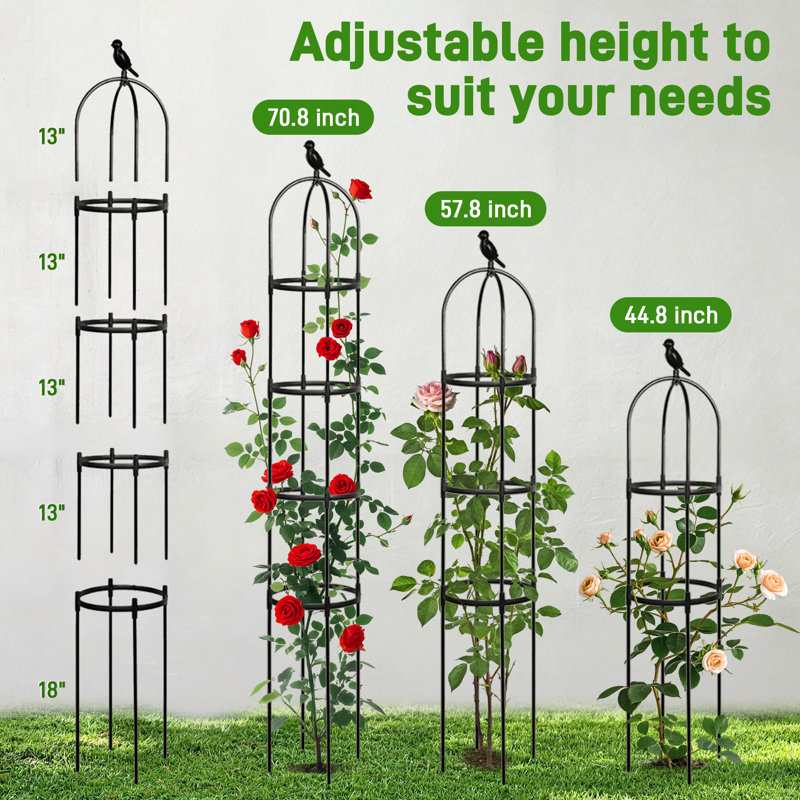 Obélisque treillis pour plantes grimpantes, 1, Black