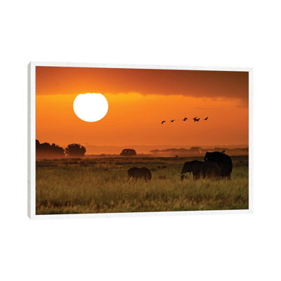 African Elephants Walking At Golden Sunrise II 1 Piece Wall Art on Canvas
