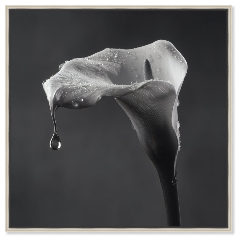 Midnight Rain Print by Oliver Gal, 25"H x 25"W, Silver Floater Frame