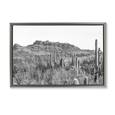 Toile flottante encadrée noire "American Borderlands Desertscape" par Nathan Larson