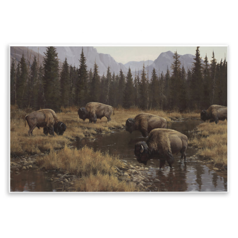 Bison sauvage broutant au ruisseau, art mural, par Paco Young, H 10 po x l 15 po